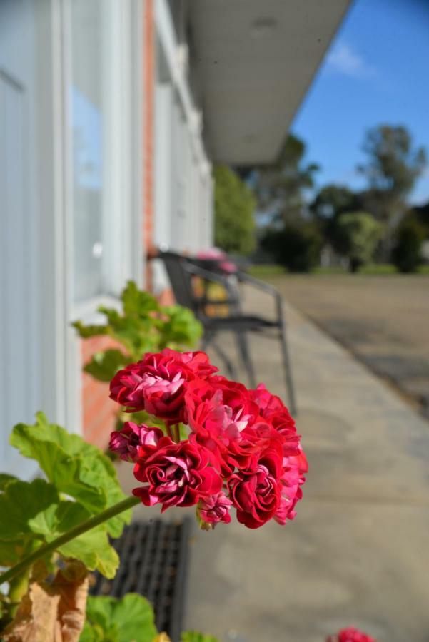 Ship Inn Motel Yarram Bagian luar foto